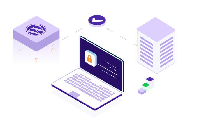 WordPress website management
